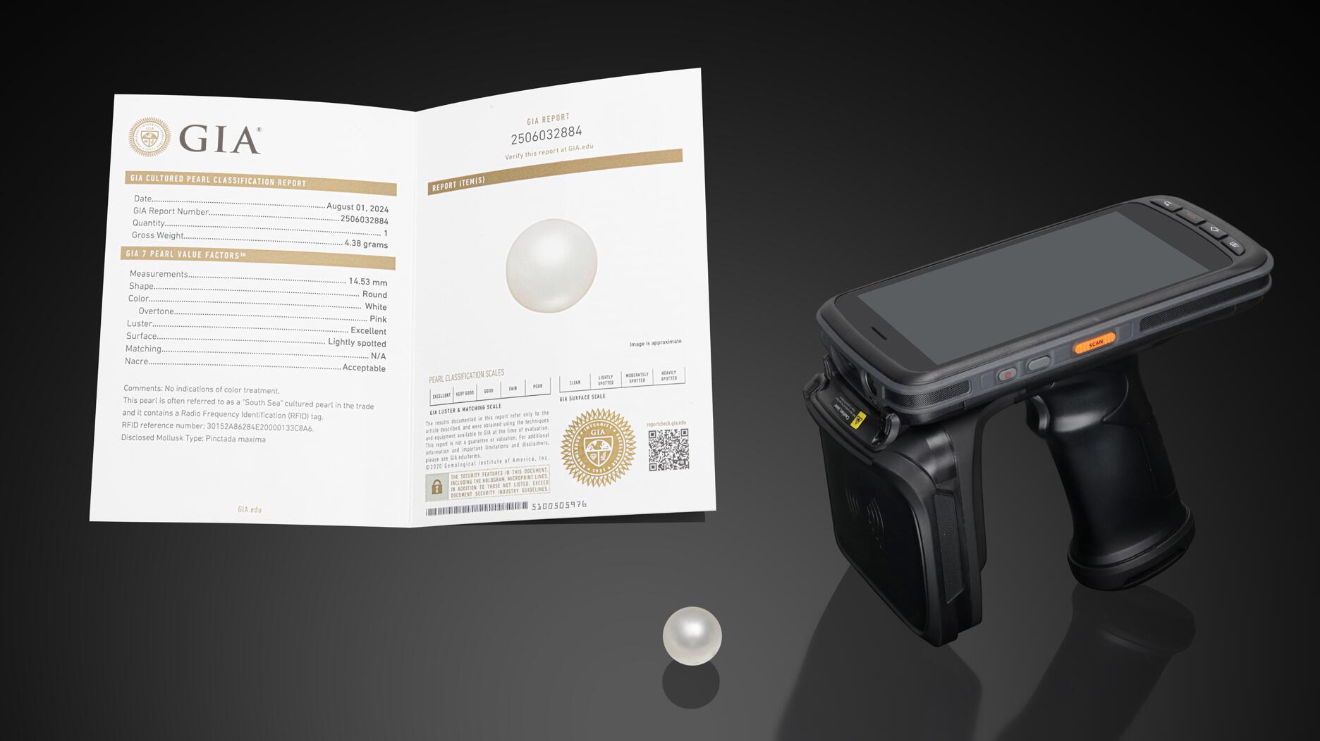 20240917_GIA pearl header.jpg