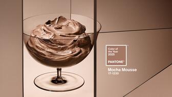 Pantone Color of the Year Mocha Mousse