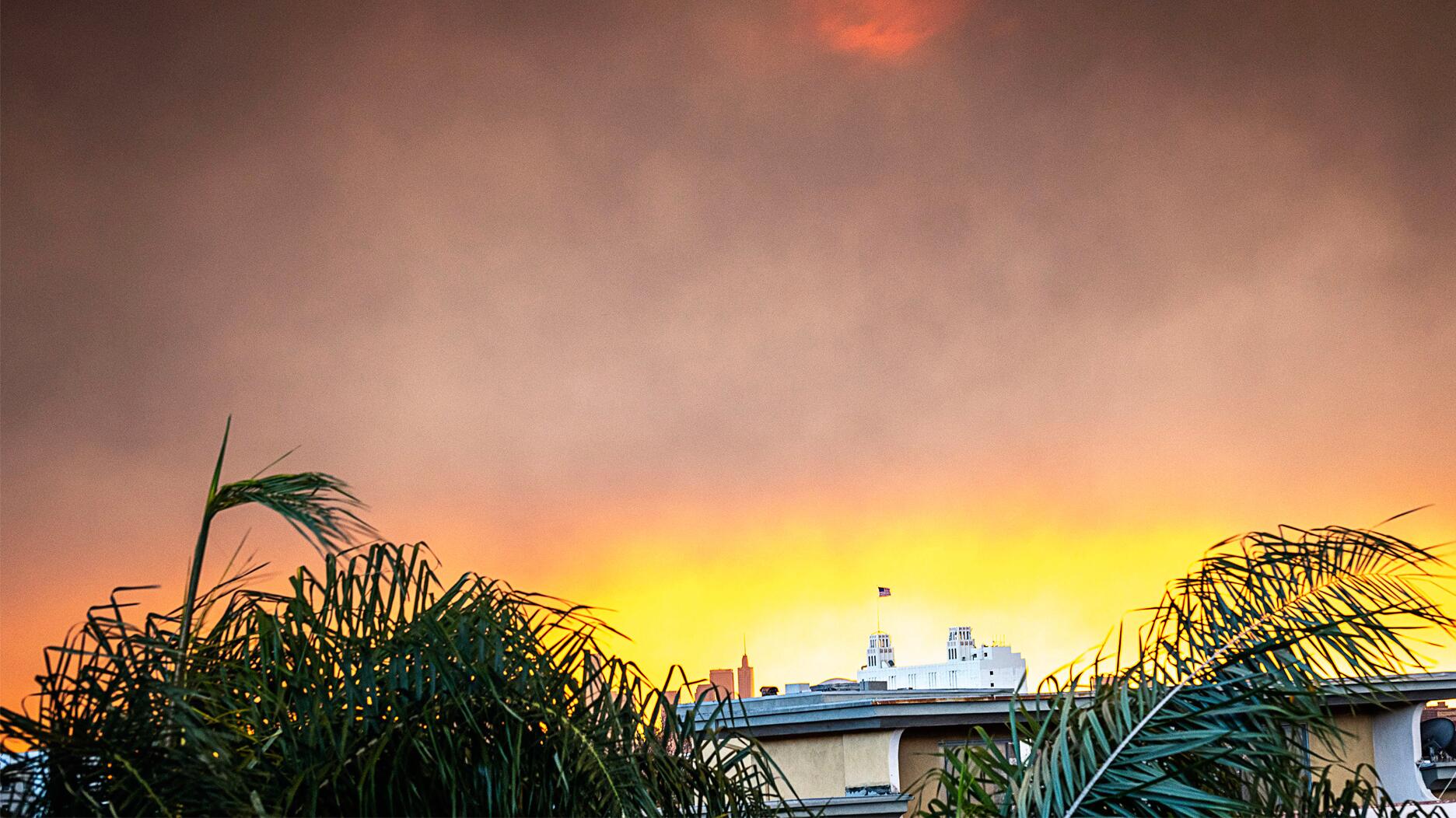 In addition to providing support services to jewelry businesses in L.A. County, Jewelers Mutual Group will match donations made to the Jewelers Relief Fund, the fund Jewelers of America and Diamond Council of America reopened in the wake of the devastating wildfires. Los Angeles wildfires