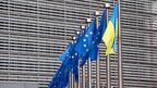 European Union flags 