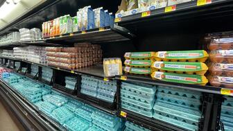 Eggs on a shelf
