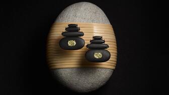 Sauer Balance Earrings in Ma Campaign